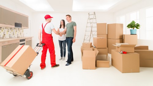Organized moving boxes for a local relocation